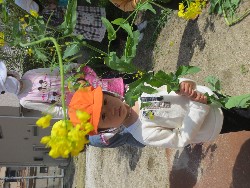 4��5���@�쐼��񂰁@�����݂̐X_13