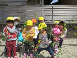 4��5���@�쐼��񂰁@�����݂̐X_17