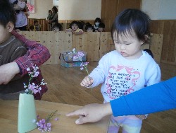 4��8���@���{���͂Ȃ܂�_13