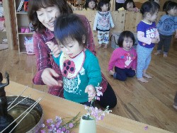 4��8���@���{���͂Ȃ܂�_22