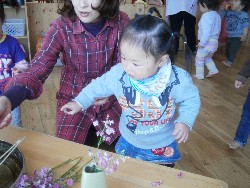 4��8���@���{���͂Ȃ܂�_24