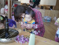 4��8���@���{���͂Ȃ܂�_27