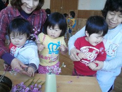 4��8���@���{���͂Ȃ܂�_28