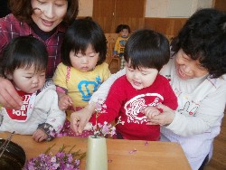 4��8���@���{���͂Ȃ܂�_29