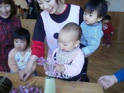 4��8���@���{���͂Ȃ܂�_33