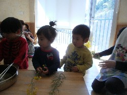 4��8���@���{���͂Ȃ܂�_41