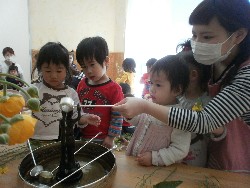 4��8���@���{���͂Ȃ܂�_50