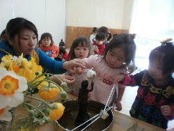 4��8���@���{���͂Ȃ܂�_66