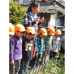 4��12���@�Ђ܂��@���܂˂��̎��n_1