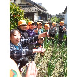 4��12���@�Ђ܂��@���܂˂��̎��n_3