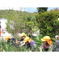 4��12���@�Ђ܂��@���܂˂��̎��n_5