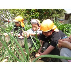 4��12���@�Ђ܂��@���܂˂��̎��n_8