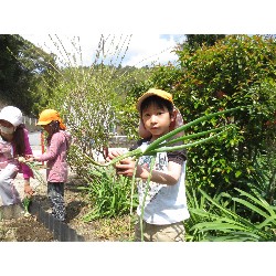 4��12���@�Ђ܂��@���܂˂��̎��n_9