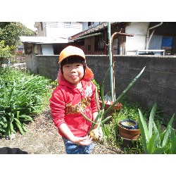 4��12���@�Ђ܂��@���܂˂��̎��n_11