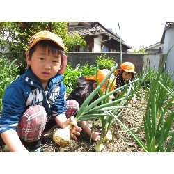 4��12���@�Ђ܂��@���܂˂��̎��n_13