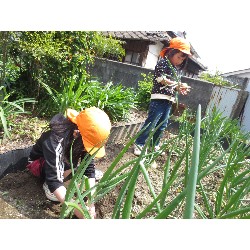 4��12���@�Ђ܂��@���܂˂��̎��n_14