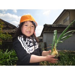 4��12���@�Ђ܂��@���܂˂��̎��n_15