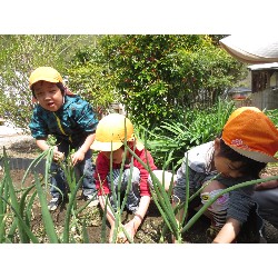 4��12���@�Ђ܂��@���܂˂��̎��n_16