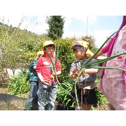 4��12���@�Ђ܂��@���܂˂��̎��n_17