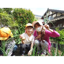 4��12���@�Ђ܂��@���܂˂��̎��n_18