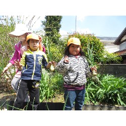 4��12���@�Ђ܂��@���܂˂��̎��n_19