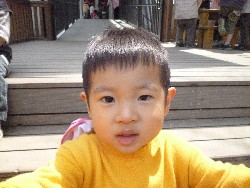 4��12���@����ۂې���V��_39