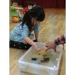 4��16���@�Ђ܂��i�ς񂾁j�@���p�ۈ�_3