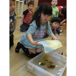 4��16���@�Ђ܂��i�ς񂾁j�@���p�ۈ�_4