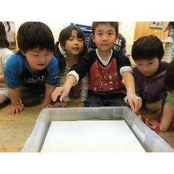 4��16���@�Ђ܂��i�ς񂾁j�@���p�ۈ�_6