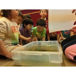 4��16���@�Ђ܂��i�ς񂾁j�@���p�ۈ�_7