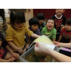 4��16���@�Ђ܂��i�ς񂾁j�@���p�ۈ�_8