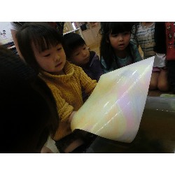 4��16���@�Ђ܂��i�ς񂾁j�@���p�ۈ�_10