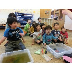 4��16���@�Ђ܂��i�ς񂾁j�@���p�ۈ�_13