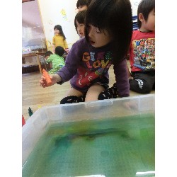 4��16���@�Ђ܂��i�ς񂾁j�@���p�ۈ�_16