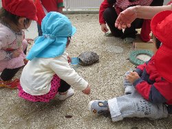 4��17���@�����@���쁕�ˊO�V��_24