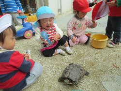 4��17���@�����@���쁕�ˊO�V��_25