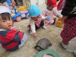 4��17���@�����@���쁕�ˊO�V��_26