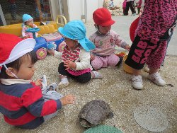 4��17���@�����@���쁕�ˊO�V��_27