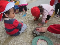 4��17���@�����@���쁕�ˊO�V��_28