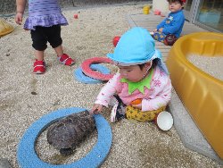 4��17���@�����@���쁕�ˊO�V��_30