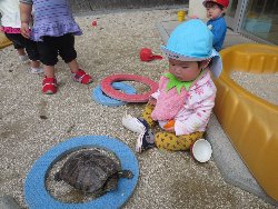 4��17���@�����@���쁕�ˊO�V��_31