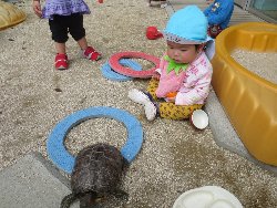 4��17���@�����@���쁕�ˊO�V��_32