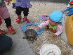 4��17���@�����@���쁕�ˊO�V��_33