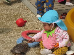 4��17���@�����@���쁕�ˊO�V��_35