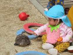 4��17���@�����@���쁕�ˊO�V��_36