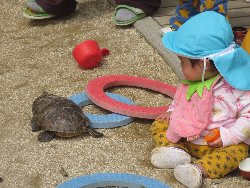 4��17���@�����@���쁕�ˊO�V��_37