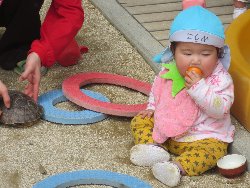 4��17���@�����@���쁕�ˊO�V��_38