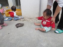 4��17���@�����@���쁕�ˊO�V��_39