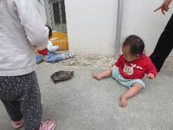 4��17���@�����@���쁕�ˊO�V��_40