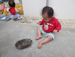 4��17���@�����@���쁕�ˊO�V��_41